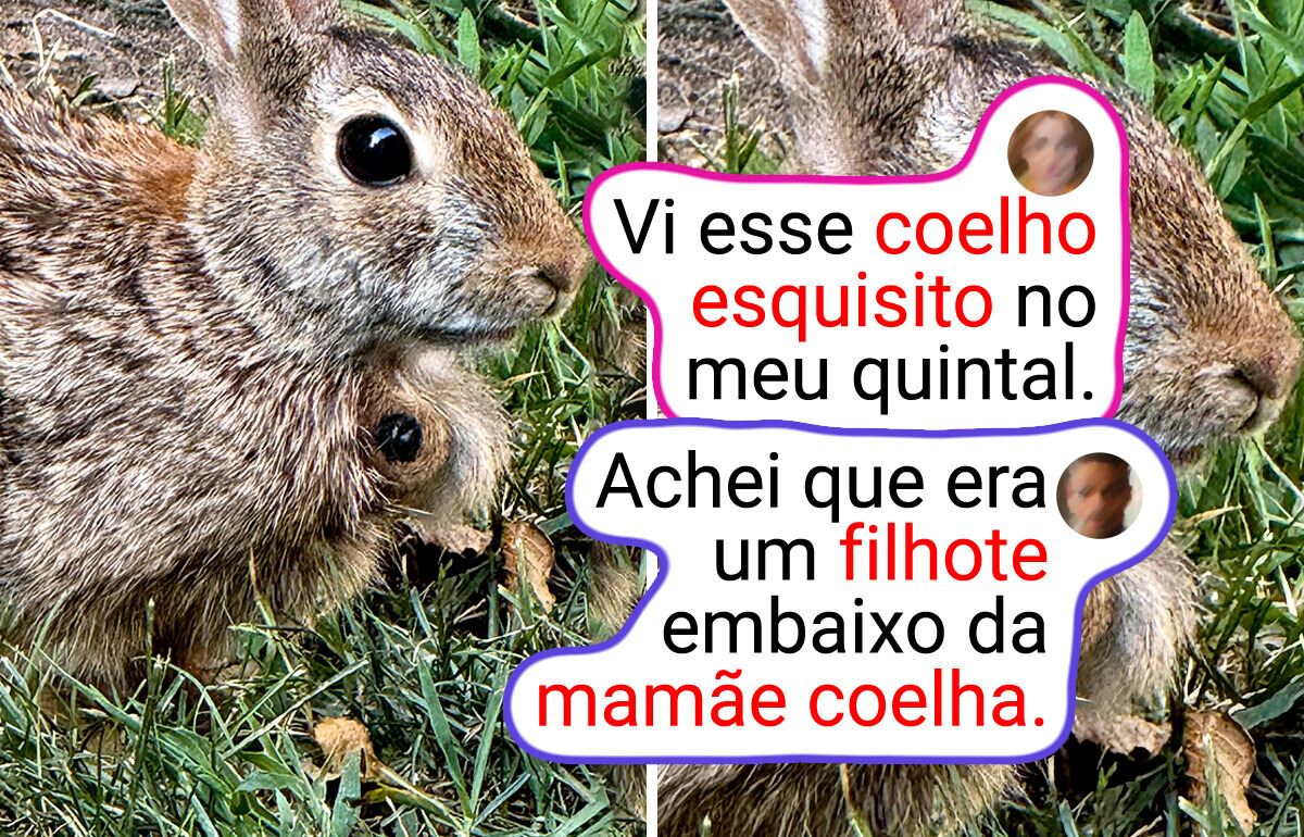 15 Provas de que olhos atentos encontram coisas curiosamente interessantes