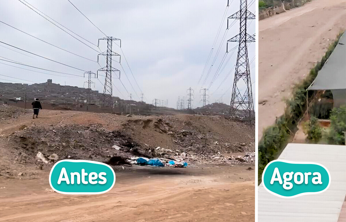 A história do terreno baldio que um grupo de mulheres transformou em oásis terapêutico