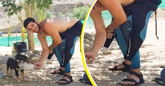 30 Fotos simples do cotidiano que viraram pura comédia sem querer