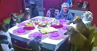 Essa vovó comemorou os 89 anos com quem ela mais ama: seus 10 cachorros