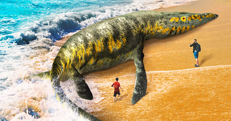 9 Gigantescas criaturas marinhas já conhecidas