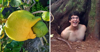 17 Fotos reais que precisam de um detetive para serem desvendadas