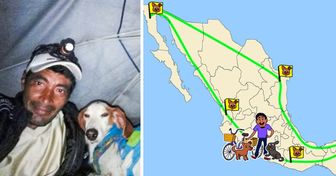 Ele resgatou 500 cães abandonados e deu a eles um novo lar enquanto visitava o México em um triciclo