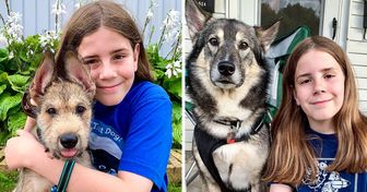 Garoto de 11 anos relata as histórias dos cães que encontra na rua, mostrando que todos eles têm uma personalidade única