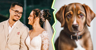 Casamento pet-friendly exclui crianças e causa repercussão acalorada nas redes