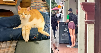 15 Fotos confusas que provam que tudo é questão de perspectiva