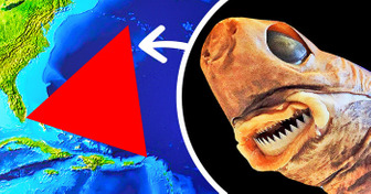 Encontraram um monstro no Triângulo das Bermudas capaz de fazer buracos em submarinos
