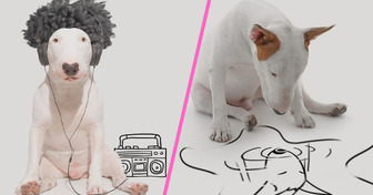 Brasileiro cria fotos divertidas de seu cachorro usando imaginação, arte e amor