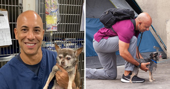 Como este veterinário se tornou um herói silencioso para os animais de rua
