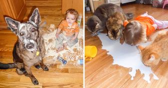 7 Razões para seu filho ter um pet