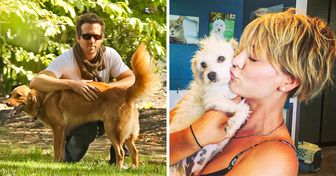 16 Celebridades que resgataram cães da rua, mostrando que o que importa não é a raça, mas o amor