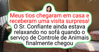 20+ Pessoas que tiveram um encontro hilário com a natureza selvagem