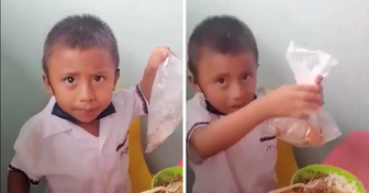 Menino guarda parte do almoço da escola para que sua mãe também possa comer