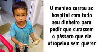 20+ Provas de que ações verdadeiramente bondosas não precisam de motivos especiais