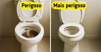 7 Visitantes inesperados que podem aparecer no seu vaso sanitário