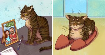9 Ilustrações divertidas que mostram o dia a dia dos gatos enquanto os donos não estão em casa