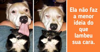 19 Fotos capazes de fazer sua criança interior chorar... de rir