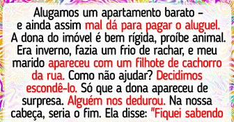 20 Provas de quando a vida decide que é hora de ter um pet, não tem como fugir