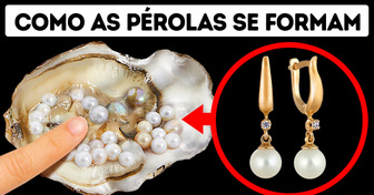 Como e por que as ostras fazem pérolas?