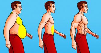 8 Exercícios para eliminar a gordura da barriga e ficar mais saudável