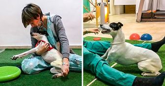 A veterinária que devolveu a alegria a uma cachorrinha tetraplégica com a ajuda de terapias