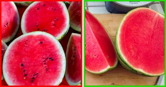 5 Sinais da presença de substâncias nocivas em melancias que devemos conhecer para evitar intoxicações