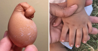 16 Curiosidades que mostram como o mundo surpreende nos detalhes