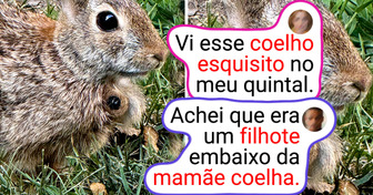 15 Provas de que olhos atentos encontram coisas curiosamente interessantes