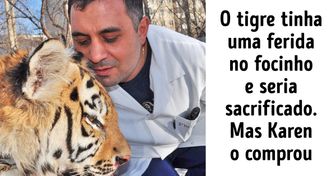 A história do veterinário que salvou um tigre doente apesar de ser especializado em animais domésticos