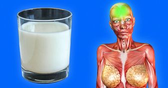 Por que pode ser benéfico beber leite antes de dormir