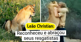 6 Laços únicos nascidos entre animais resgatados e seus salvadores