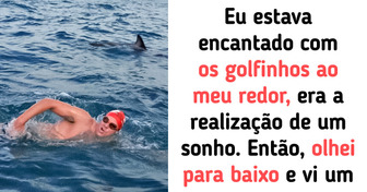 Nadador foi cercado por golfinhos no oceano e fica chocado ao descobrir o motivo