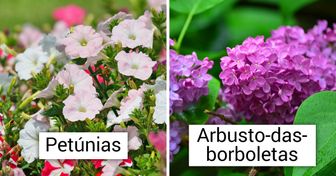 12 Espécies de flores para o seu jardim, que atrairão os beija-flores