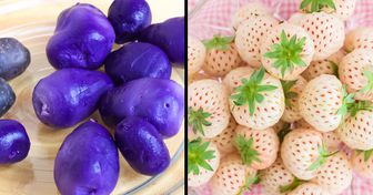 10 Frutas e legumes com cores que parecem ficção científica