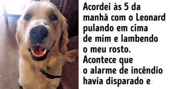 20+ Provas de que os cachorros também cuidam de seus donos