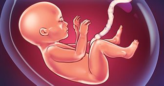 Coisas que os bebês curtem muito quando estão no útero