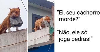 20+ Fotos que provam que a vida ao lado dos animais nunca fica chata