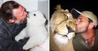 10 Histórias incríveis de amizade entre pessoas e animais selvagens