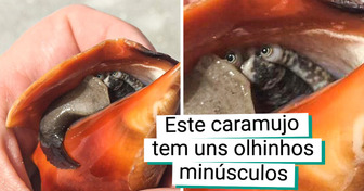 20 Cenas tão raras e estranhas que jamais sairão da cabeça de quem viu