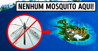 O único lugar no mundo sem mosquitos