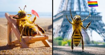 Conheça B., a abelha influencer do Instagram que ajuda a salvar sua espécie