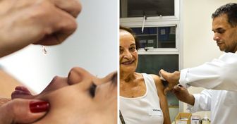 4 Tipos de vacinas que todos os adultos devem tomar no Brasil