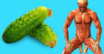 13 Coisas que podem acontecer com o seu corpo se você comer um pepino por dia