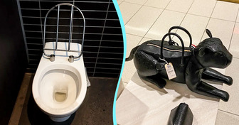 23 Designs que farão você se sentir confuso, mas ainda assim vão arrancar risadas
