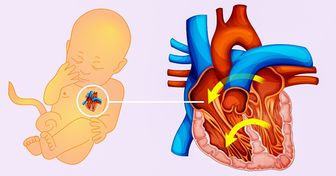 Estes são os sintomas de uma alteração do coração que devem ser detectados a tempo em um bebê