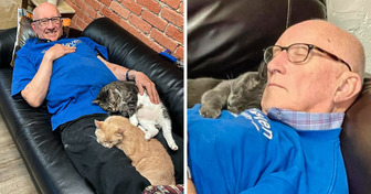 Ele só queria cochilar com gatos abandonados e acabou inspirando uma enxurrada de doações