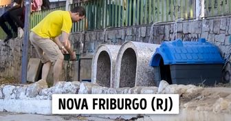 10 Iniciativas de brasileiros que construíram “cãodomínios” para cães de rua (quem sabe você se inspire a fazer o mesmo)