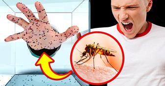 O que aconteceria com seu corpo se 1.000 mosquitos o picassem?