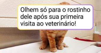 20+ Animais que só queriam fazer uma visita ao veterinário, mas derreteram os corações de toda a internet