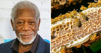 Morgan Freeman fez da sua fazenda de 50 hectares um santuário de abelhas para salvar o planeta